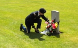  tribute to the isolated graves at Lijssenthoek 