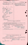  	 ADAM STEPHEN (attestation paper)