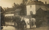 KINGSLEY THOMAS (with horses, photo taken in Therfield, North Hertfordshire, the village where he lived)