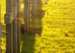 Lijssenthoek begraafplaats - cemetery - cimetire