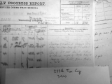 SPRINGETT HENRY JOHN (Weekly progress report 255th Tun Coy)