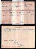 GAMBLE WALTER RAYNES(medal card)