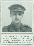 HARTLEY JOHN ARMITAGE (The Illustrated London News, January 1916)