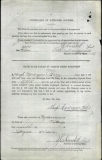 ROSS HUGH MADIGAN (attestation paper)