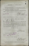 WILSON BERT (attestation paper)