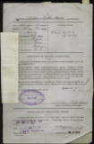 BAUER WILLIAM ARTHUR (attestation paper)