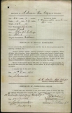 SOLOMON LEO EDGAR (attestation paper)