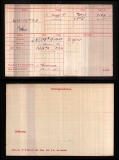 ALBERT ERNEST WHITEROD(medal card)