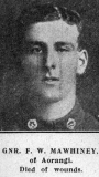  FREDERICK WILLIAM MAWHINEY