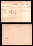 WILLIAM ARTHUR WA WOOLLAMS(medal card)