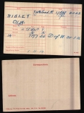 OLIVER WILLIAM OW RISLEY(medal card)