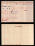 MARSHALL ERNEST VICTOR(medal card)