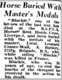 Newspaper clipping on Blackie, buried with the medals of Lt.Wall - Portsmouth Evening News December 1942