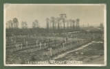 plot20