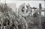 original grave at Lijssenthoek