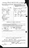 Allen Morton Bostwick (attestation paper)