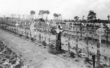 Hargreaves Rowland (original plot 14, wartime cross, 2nd row, in the middle, with the wreath)