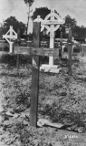 Davies F C (wooden cross marker)