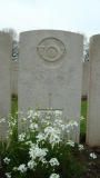  GEORGE THORNE